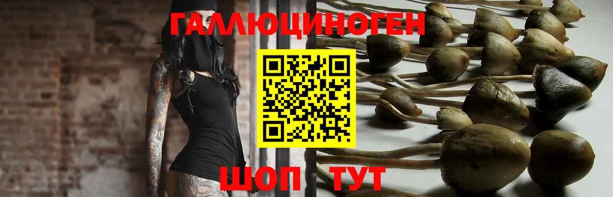 Галлюциногенные грибы мицелий  Вход с VPN  Сургут 